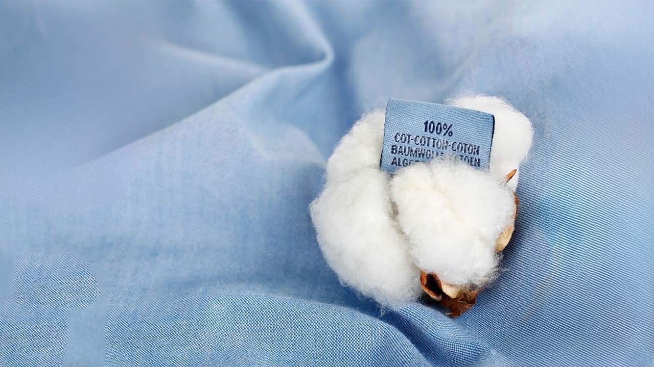 A complete guide on conventional cotton vs. BCI cotton vs. organic cotton yarn 02